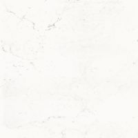 Pure Carrara Nat 48 x 48
